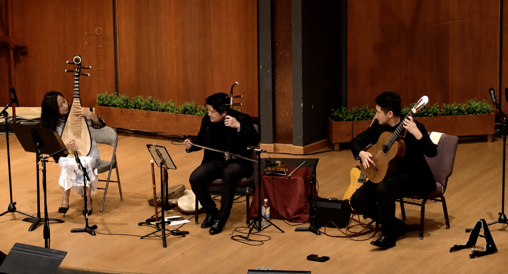 Lu Liu performing pipa with erhu and guitar in Strings Without Borders, 2026